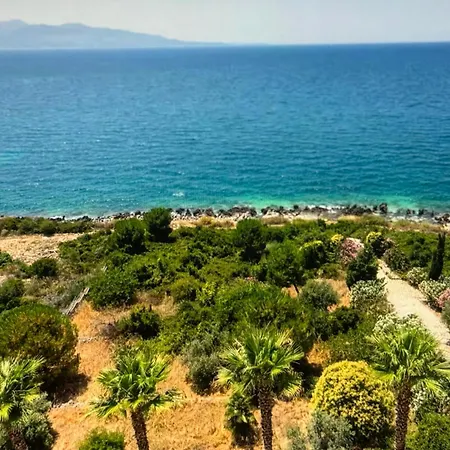 Corfu Serenity Relax & * Afión